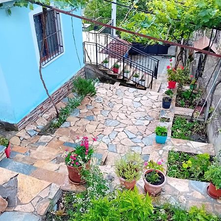Guest House Eloid Berat Dış mekan fotoğraf