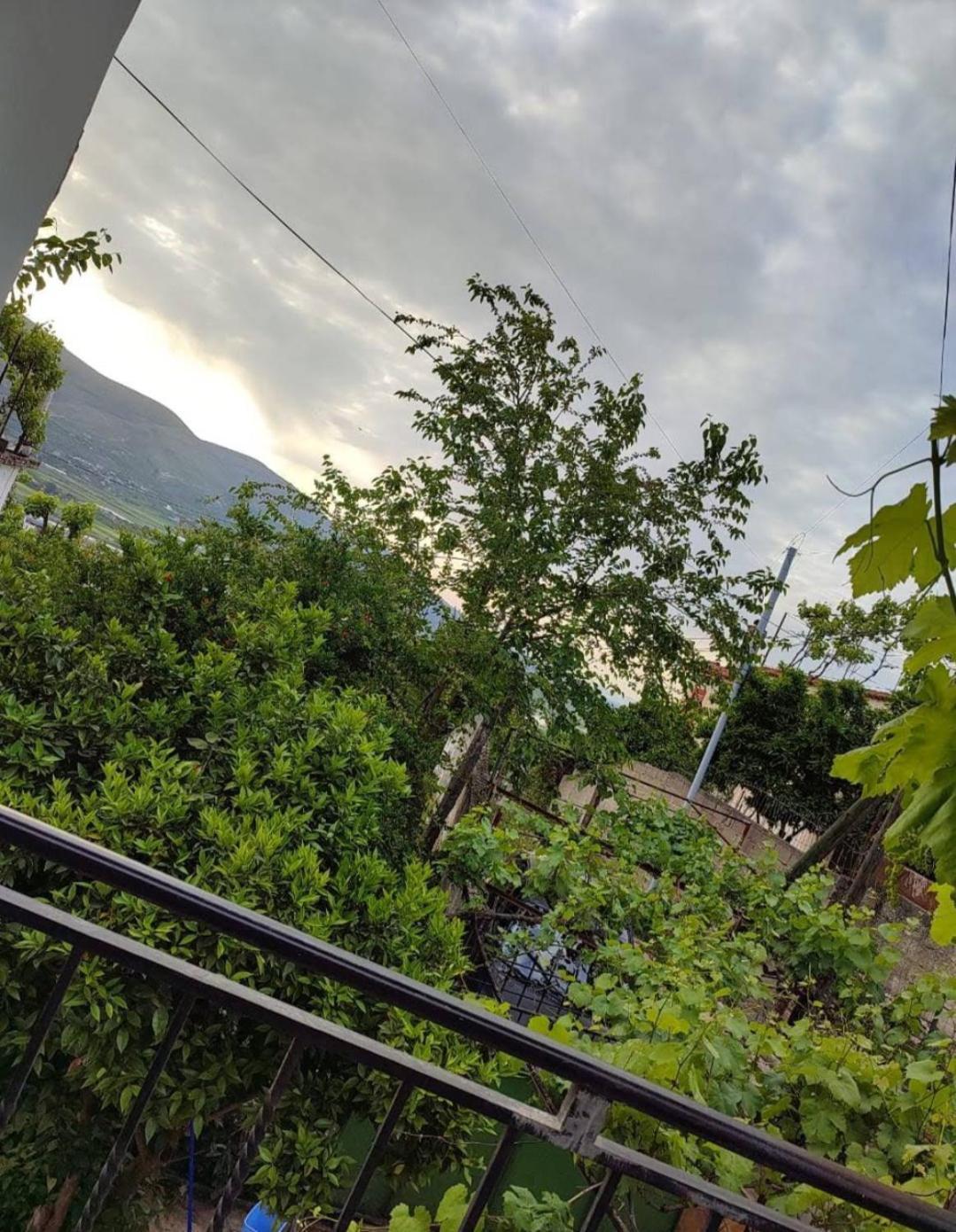 Guest House Eloid Berat Dış mekan fotoğraf