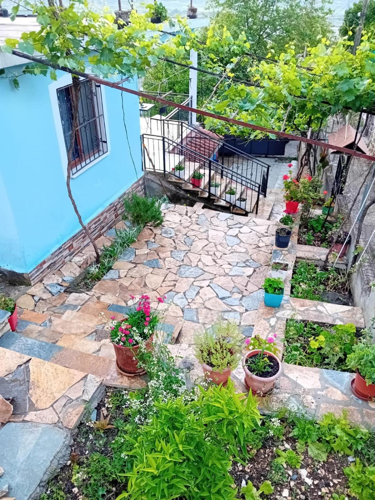 Guest House Eloid Berat Dış mekan fotoğraf